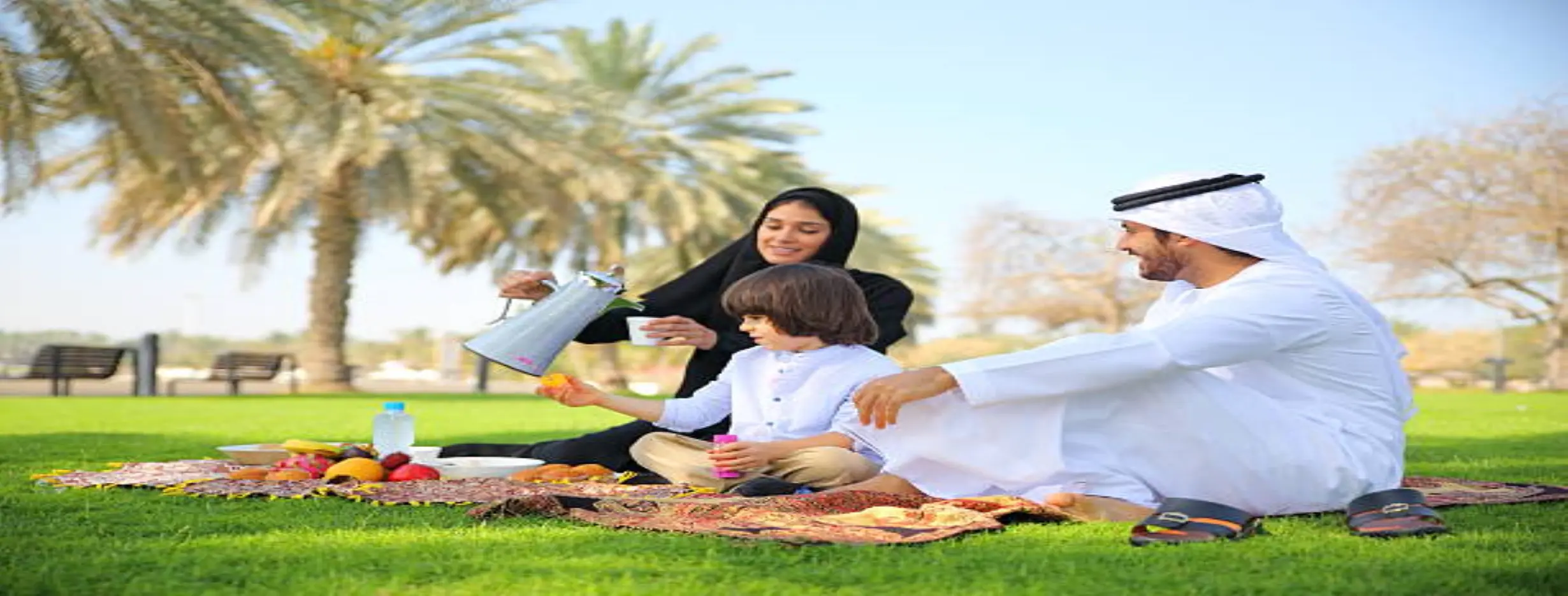 Image for Family Picnics